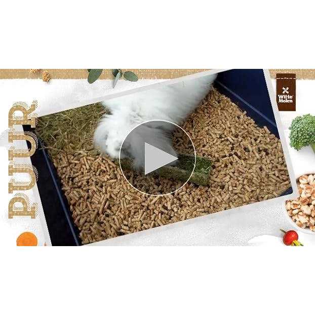 Witte Molen Pure Hamster Food Seed Mixture Mealworms Sunflower Seeds - Pet Supplies online store