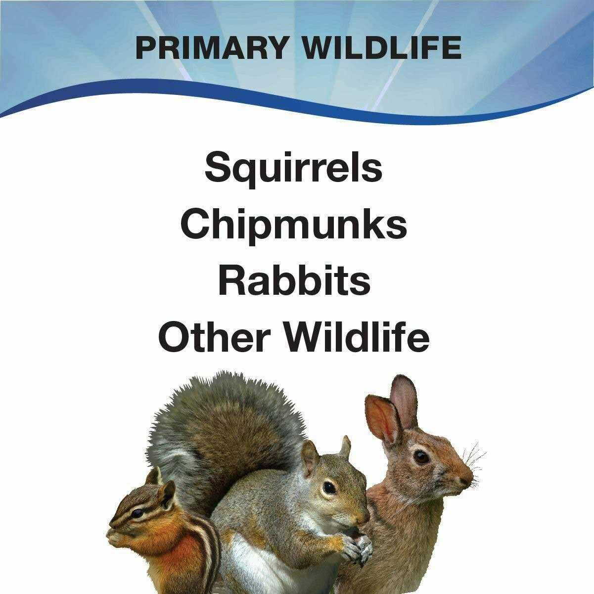 3-d Pet Products Premium Squirrel and Wildlife Food - Pet Supplies online store