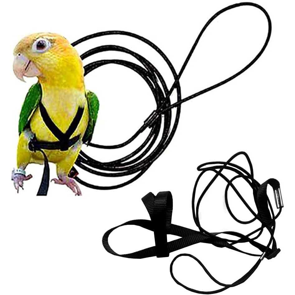 Anelekor Adjustable Birds Harness and Leash Parrot Harness Leash Training Supplies Pet Anti-bite Outdoor Flying Rope for Conures Budgerigar Lovebird - Pet Supplies online store