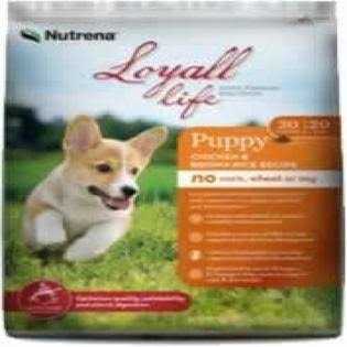Loyall Life Puppy Chicken & Brown Rice - Pet Supplies online store