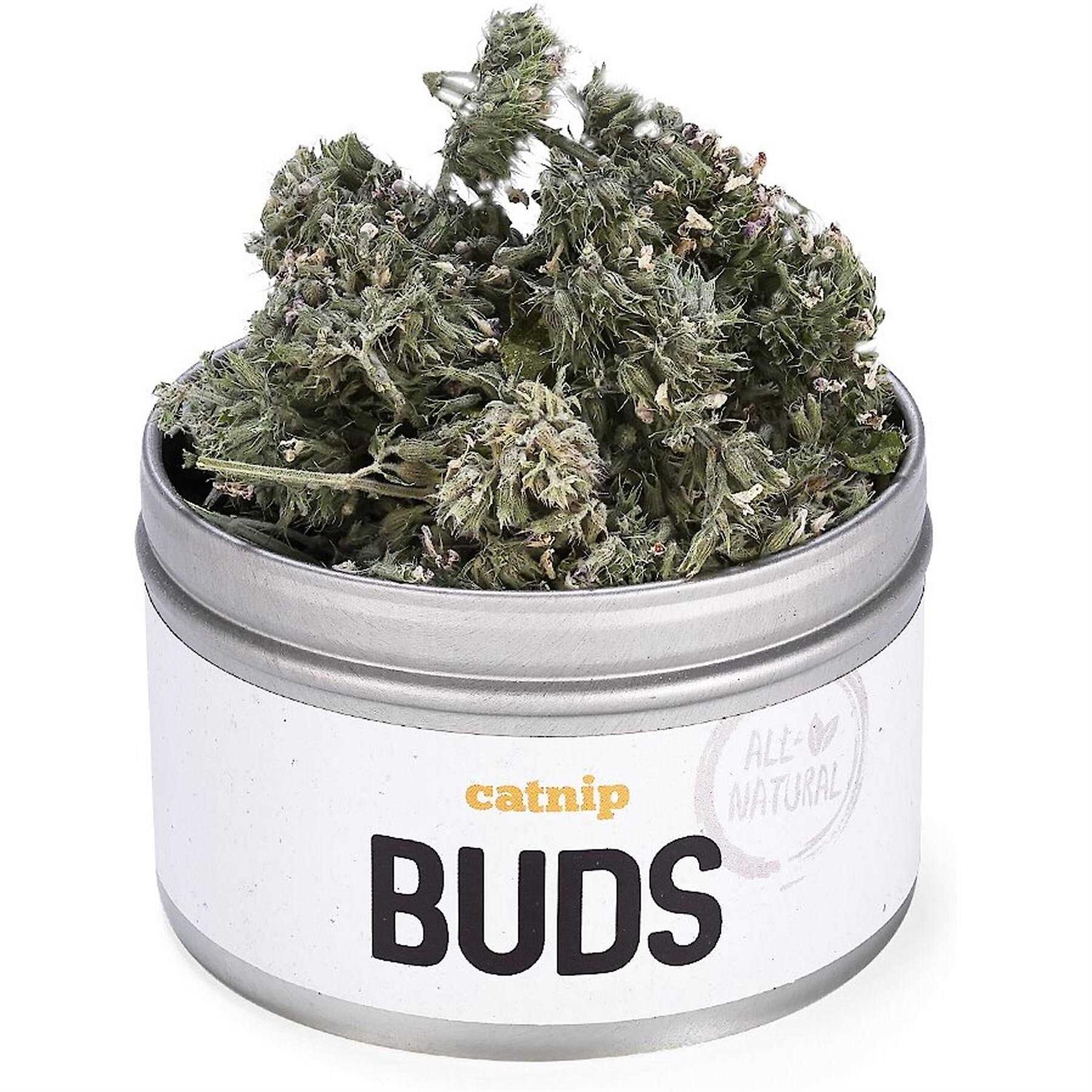 Litterbox.com™ Catnip Buds in Bisque - Pet Supplies online store