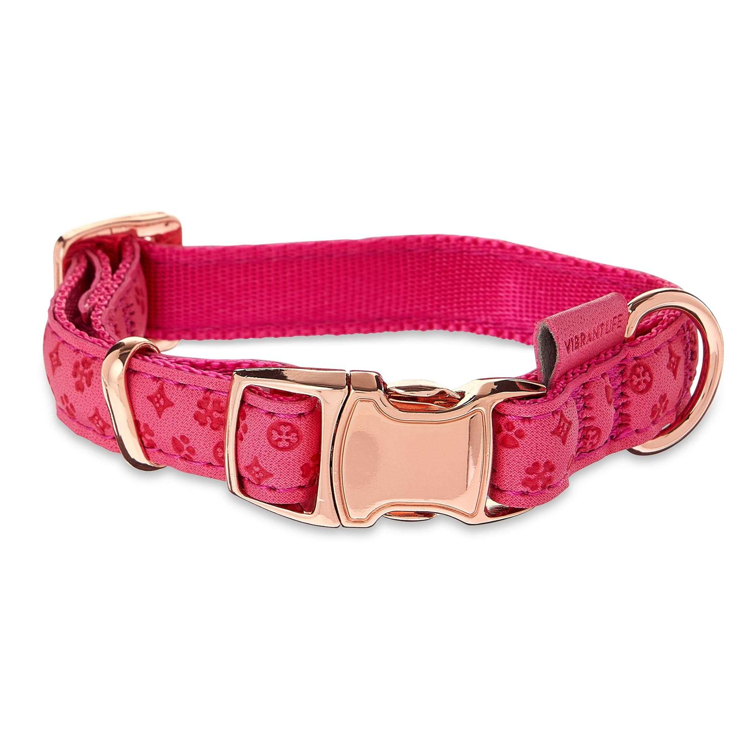 Vibrant Life Embossed Adjustable Dog Collar - Pet Supplies online store