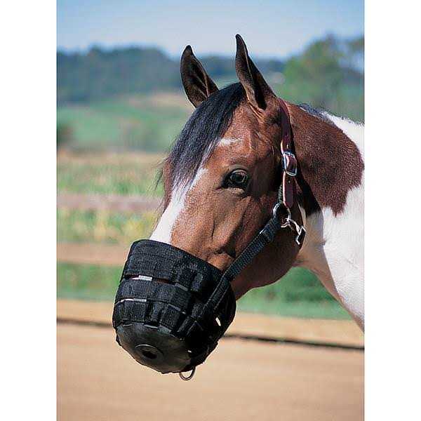 Weaver Leather Grazing Muzzle - Pet Supplies online store