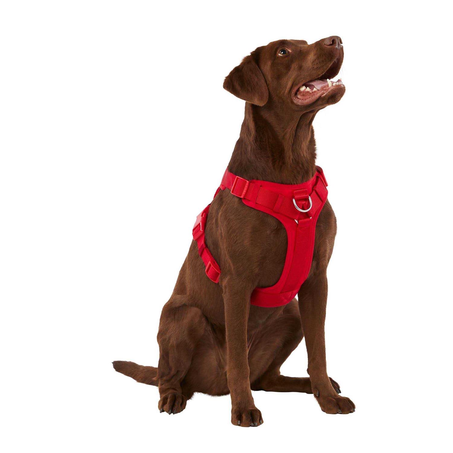 Top Paw Neoprene Comfort Dog Harness - Pet Supplies online store