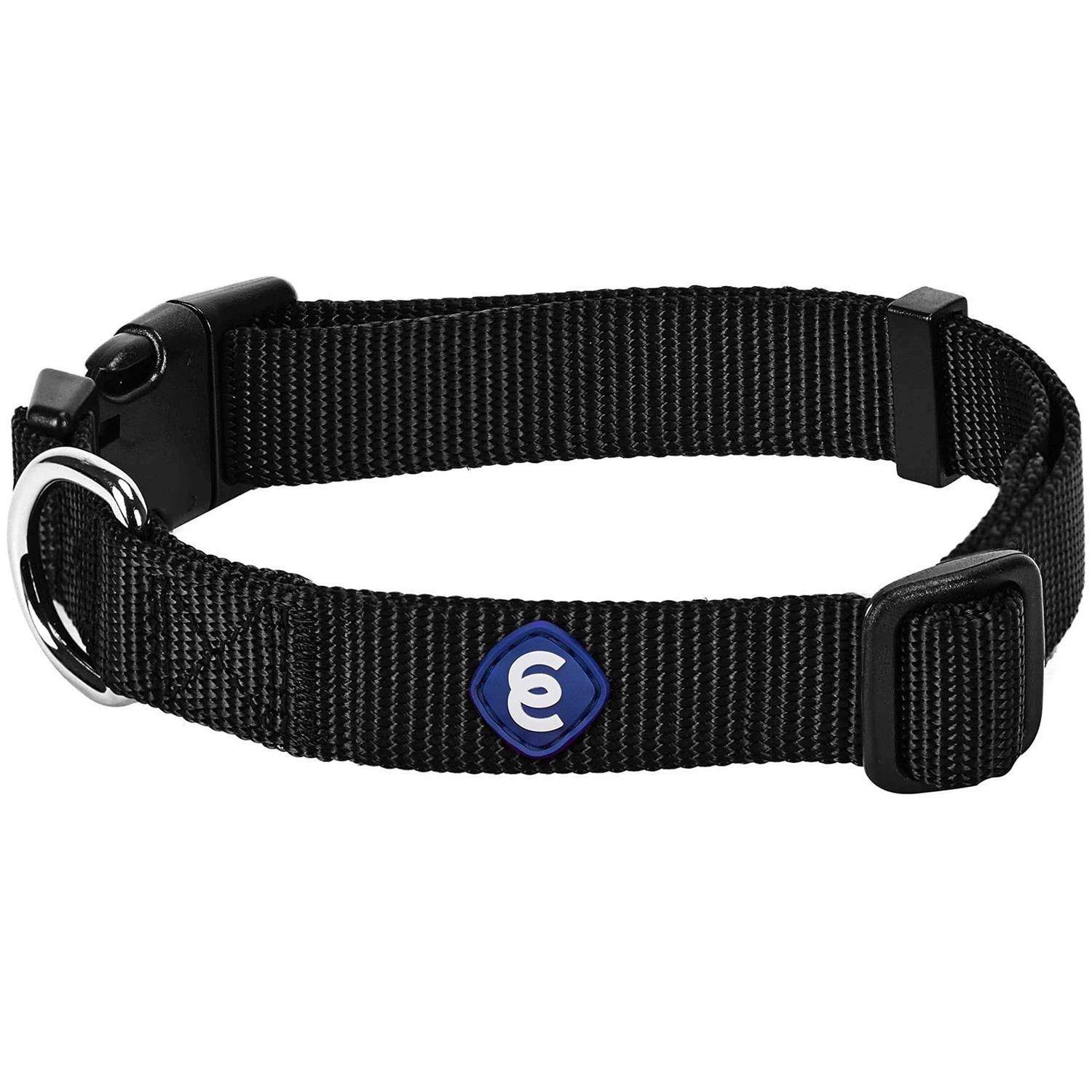 Blueberry Pet Classic Dog Collar - Pet Supplies online store