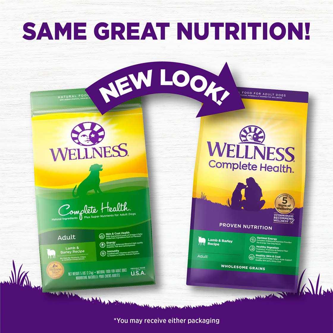 Wellness Complete Health Lamb & Barley Dry Dog Food - Pet Supplies online store