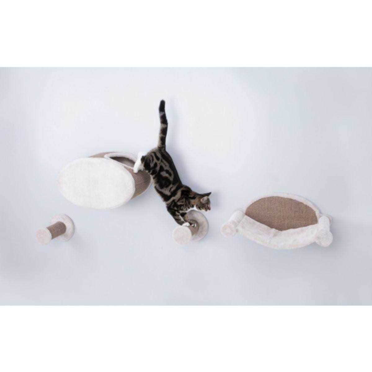Trixie Wall Mounted Cat Lounge Set Hammock and Condo with Two Steps - Pet Supplies online store