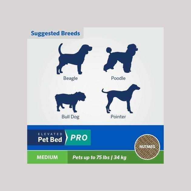 Coolaroo Cooling Elevated Pet Bed Pro - Pet Supplies online store