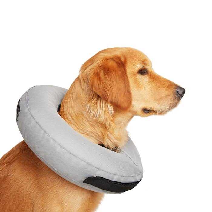 Well & Good Inflatable Dog Collar - Pet Supplies online store