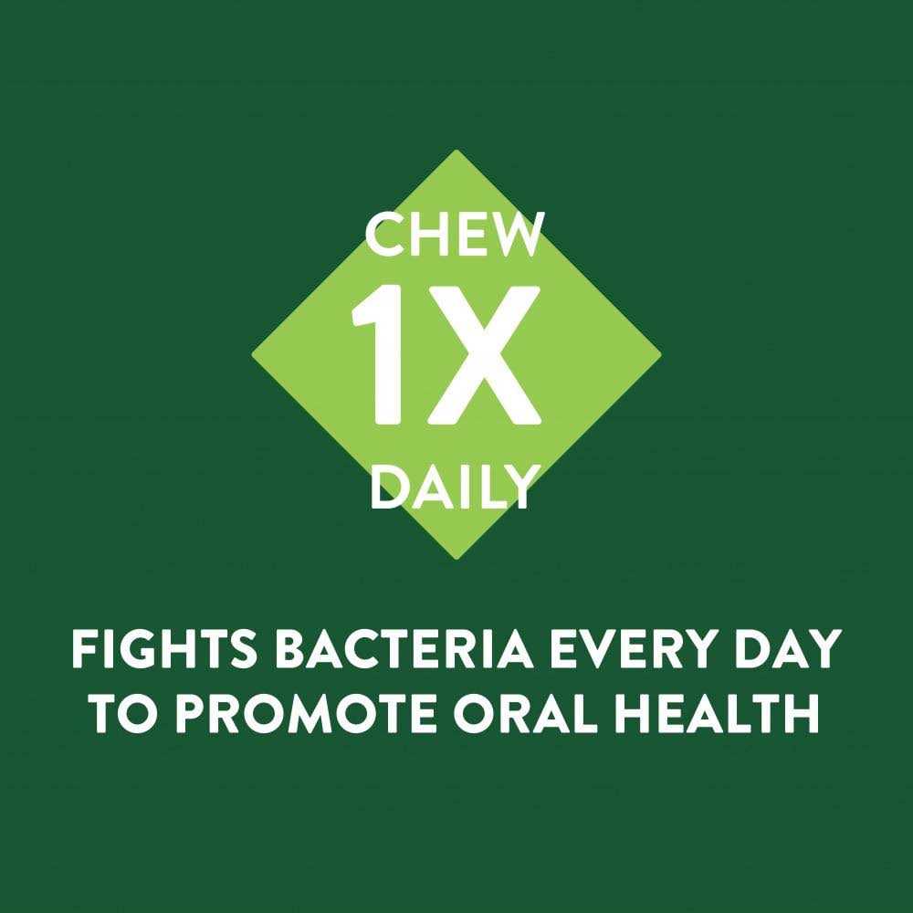 Whimzees Brushzees Dental Treats - Pet Supplies online store