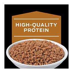 Purina Veterinary Diets NF Kidney Function Feline Canned Food - Pet Supplies online store