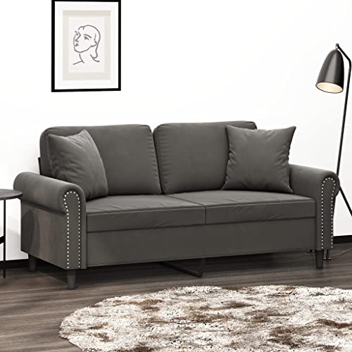 2-Seater Sofa, Lounge Sofa Ottoman Minimalist Sofa Sofa Chair Suitable for House Home Theater Apartment Den with Pillows&Cushions Dark Gray 55.1