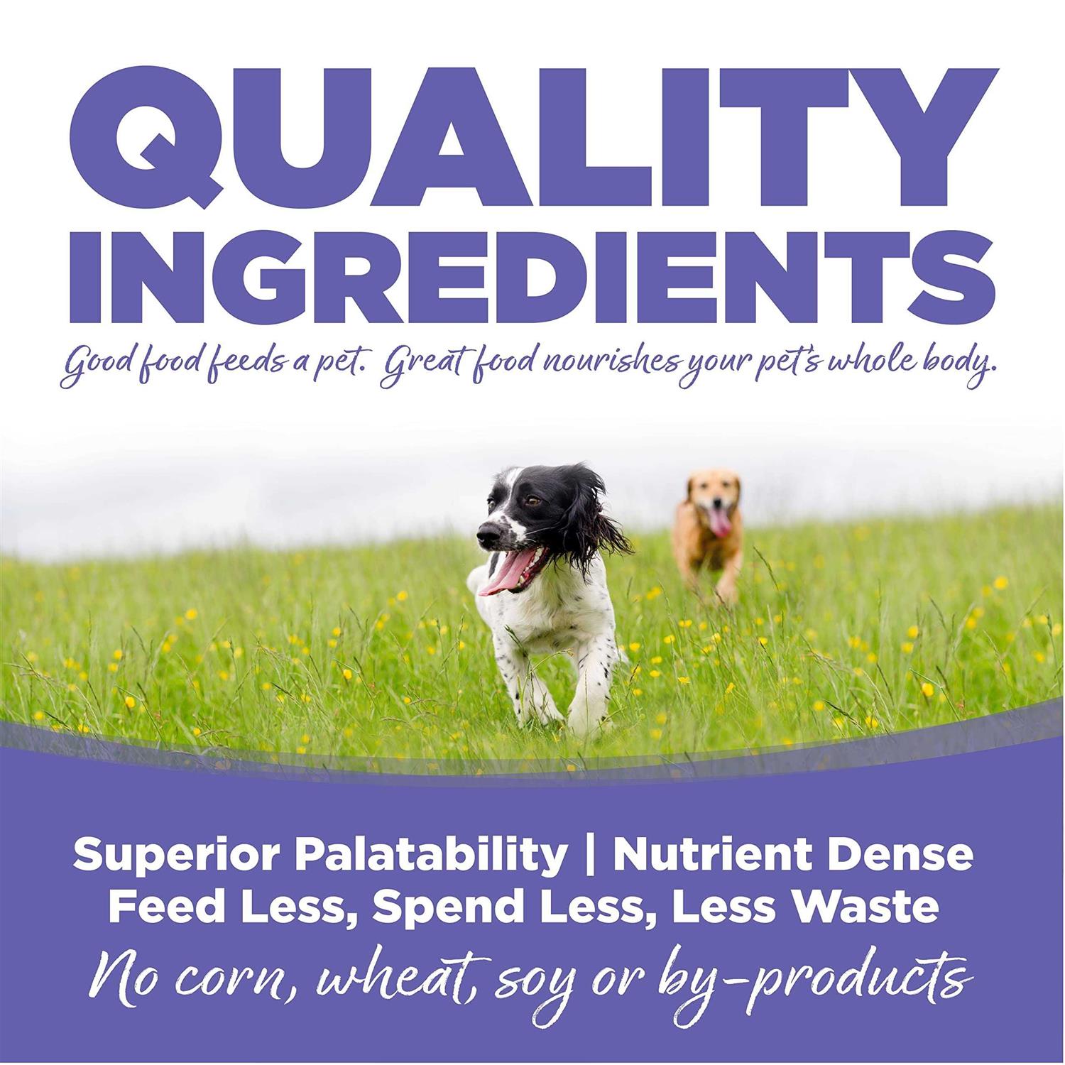 NutriSource Chicken Rice Small Medium-Breed Puppy Dry Dog Food - Pet Supplies online store