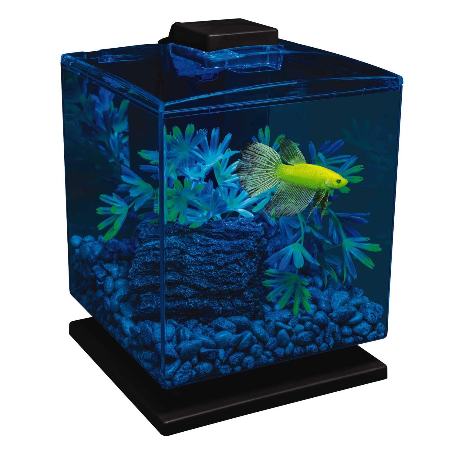 Tetra GloFish Cube Aquarium Kit - Pet Supplies online store