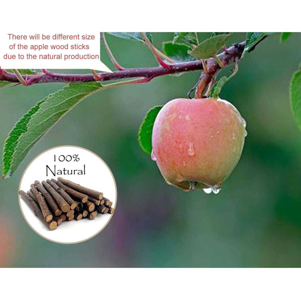 500g Organic Apple Sticks for Rabbits Wood Tree Branches Pet Snacks Chew Toys Branch for Guinea Pigs Chinchilla Squirrel Bunny Hamster Small Animals - Pet Supplies online store