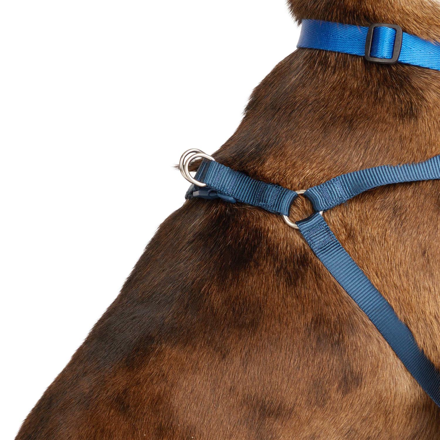 Youly the Champion Padded Step-in Dog Harness - Pet Supplies online store