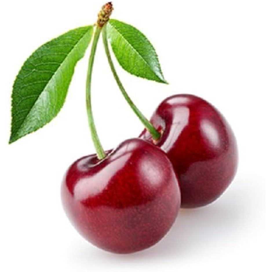 Vet's Best Bitter Cherry Spray - Pet Supplies online store