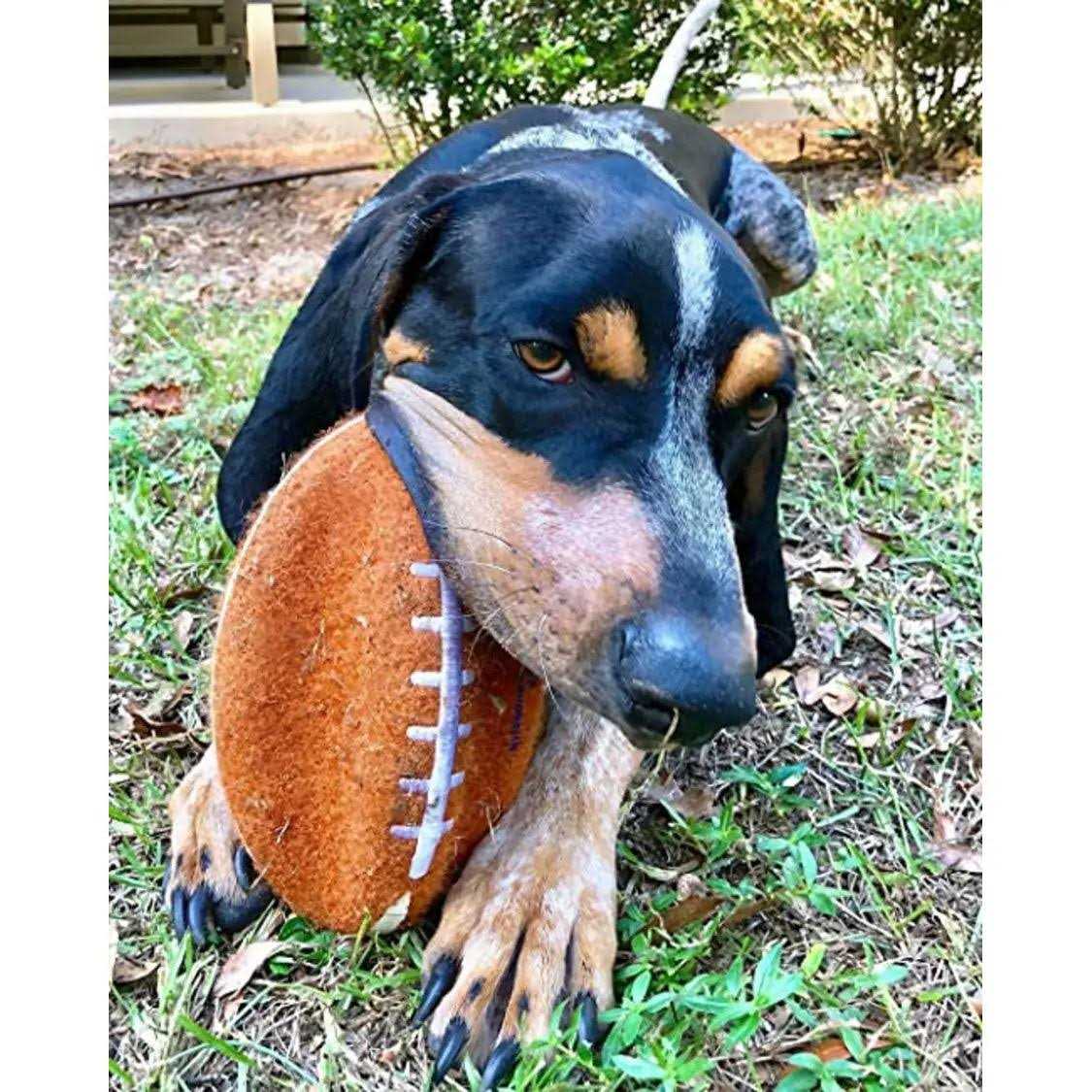 Nylabone Power Play Football Gripz Dog Toy - Pet Supplies online store
