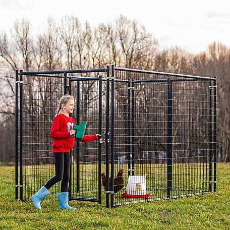 Tarter DKFMDB5 Blue Champion Dog Kennel Gate - Pet Supplies online store