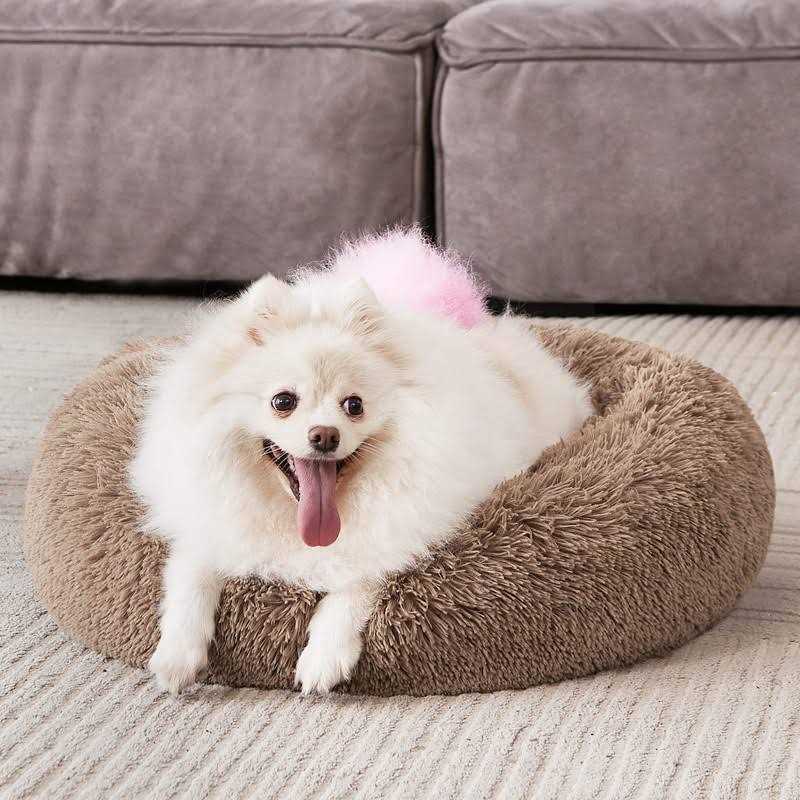 MIXJOY Orthopedic Dog Bed Comfortable Donut Cuddler Round Dog Bed Ultra Soft Washable Dog and Cat Cushion Bed - Pet Supplies online store