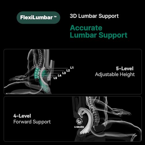HINOMI H1 Pro V2 Ergonomic Office Chair with Footrest - Home Office Desk Chair with Lumbar Support, Mesh Office Chair with Headrest, Comfy Computer Chair with Back Support (Gray, Medium)