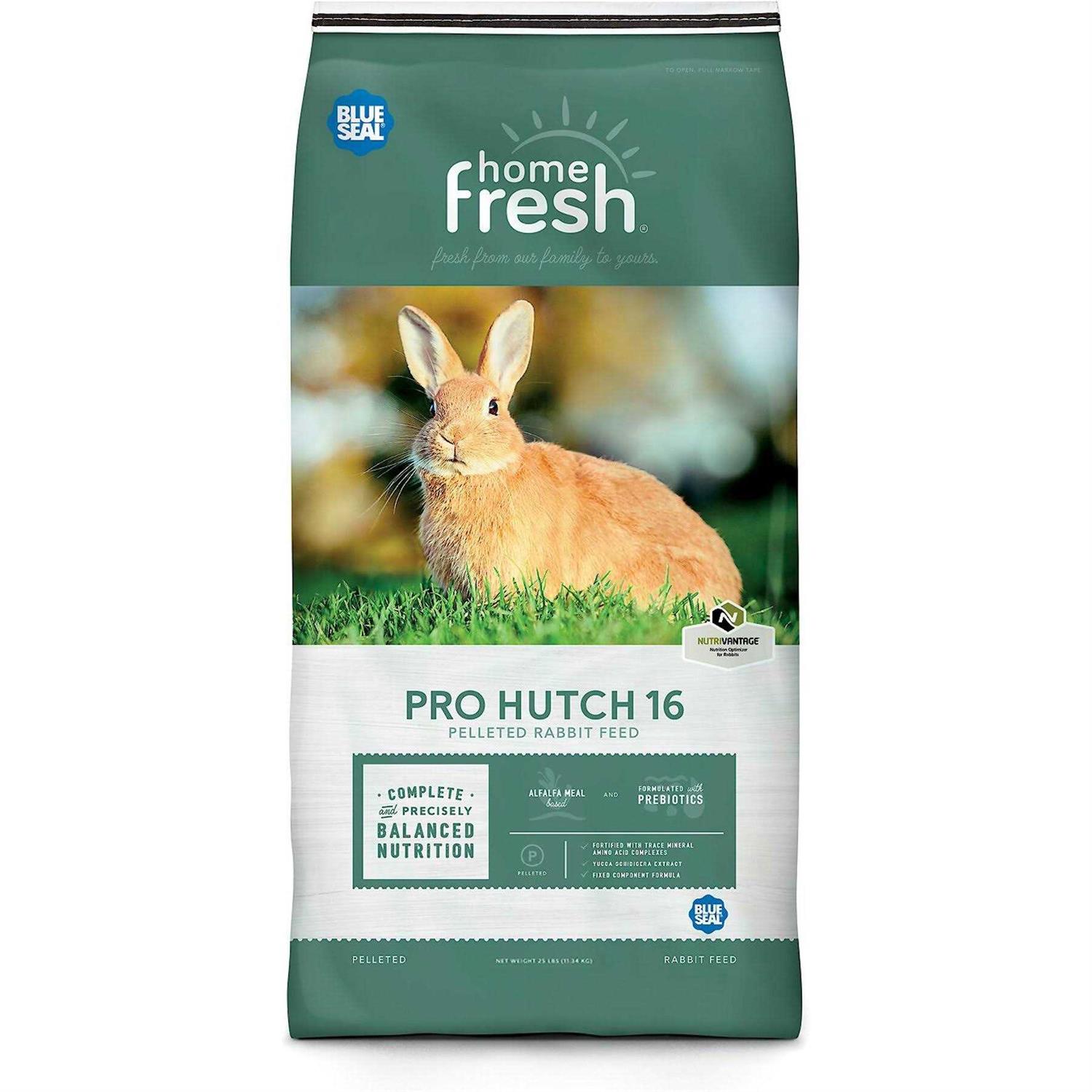 Blue Seal Home Fresh Pro Hutch 16 Rabbit - Pet Supplies online store
