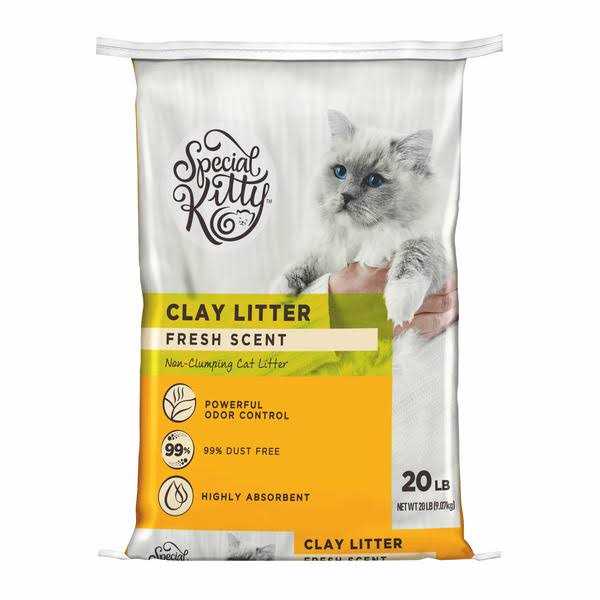Special Kitty Fresh Scent Non-Clumping Clay Litter - Pet Supplies online store