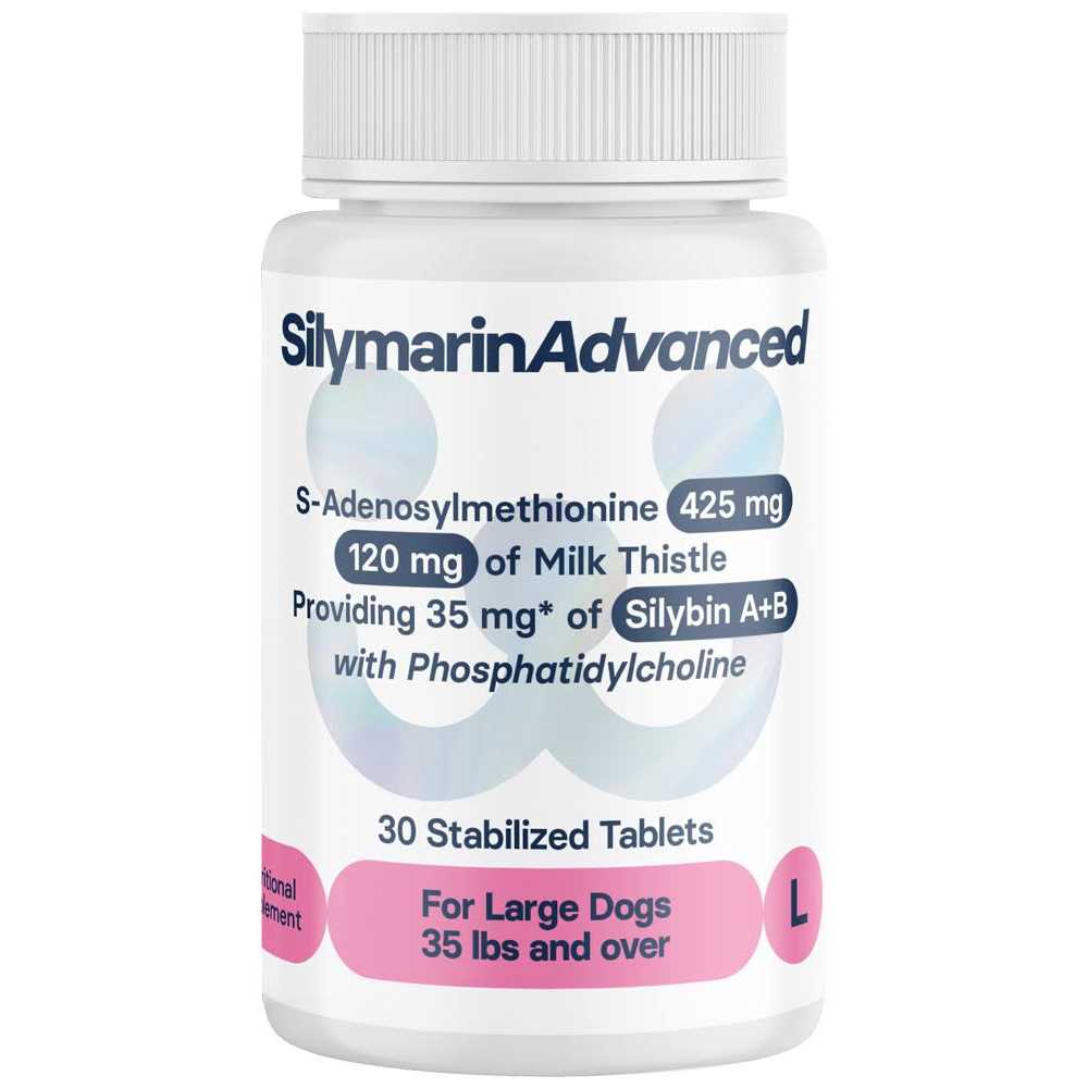 Silymarin Advanced Dogs and 30 tablets - Pet Supplies online store