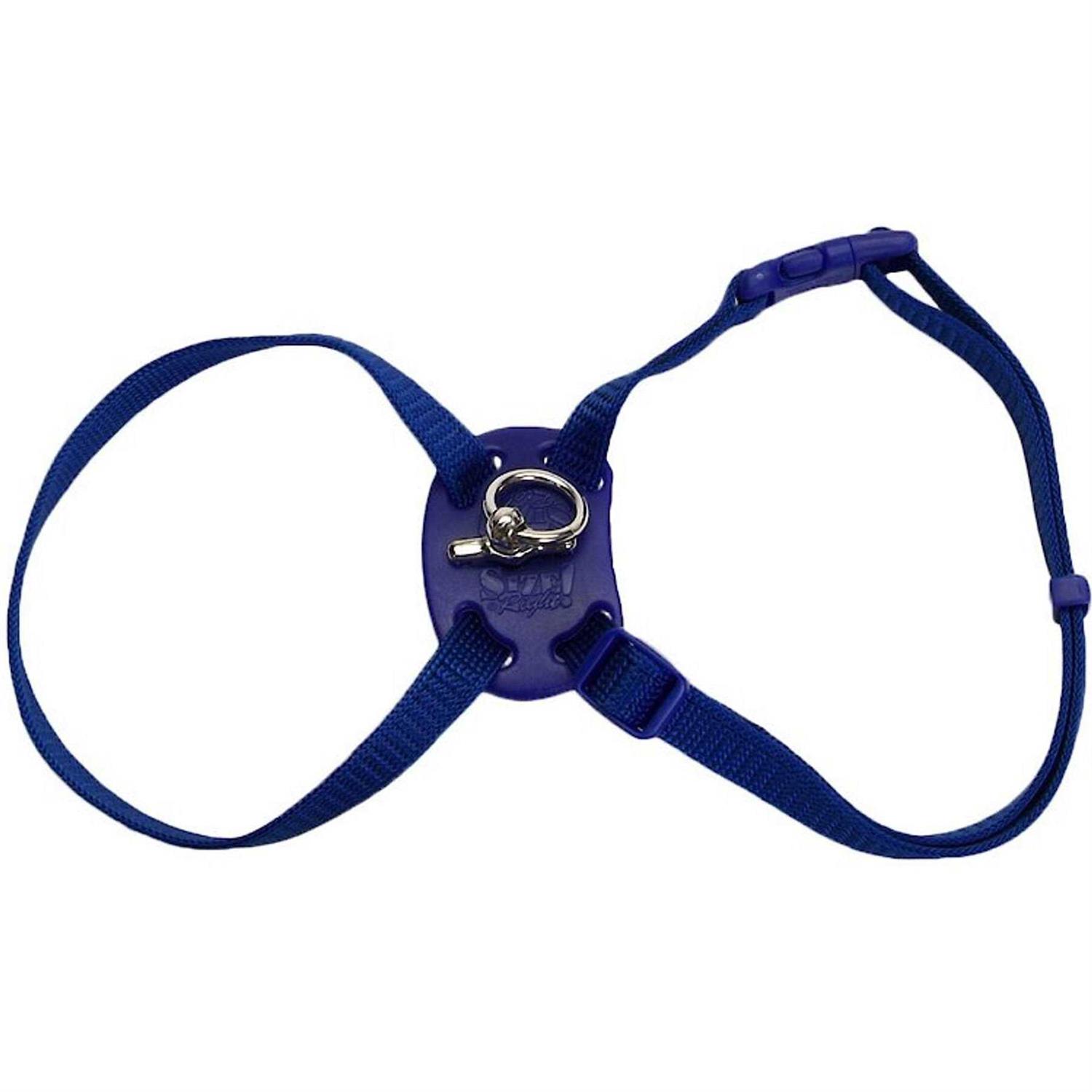 Coastal Pet Size Right Adjustable Cat Harness - Pet Supplies online store