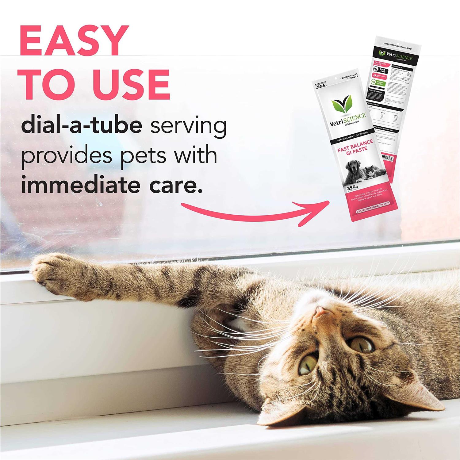 VetriScience Fast Balance G.I. Paste - Pet Supplies online store