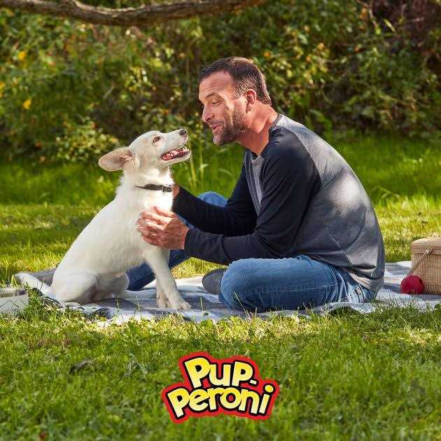 Pup-Peroni Rounds Dog Treats with Beef - Pet Supplies online store