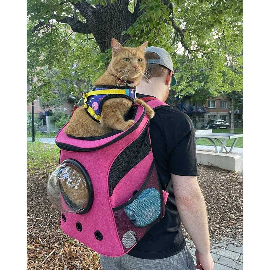 The Fat Cat Cat Backpack - Pet Supplies online store