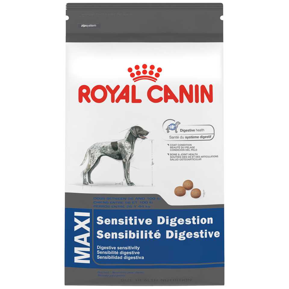 Large Digestive Care Dry Dog Food - Pet Supplies online store