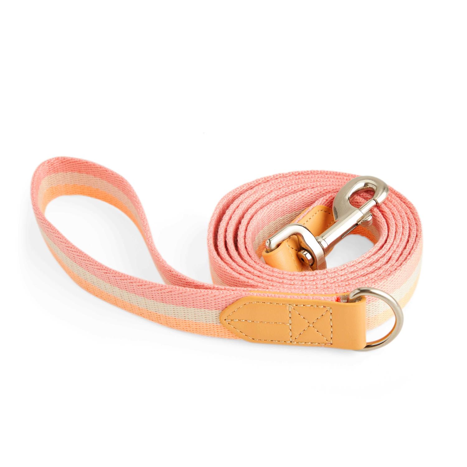 YOULY Creamsicle Dog Leash - Pet Supplies online store