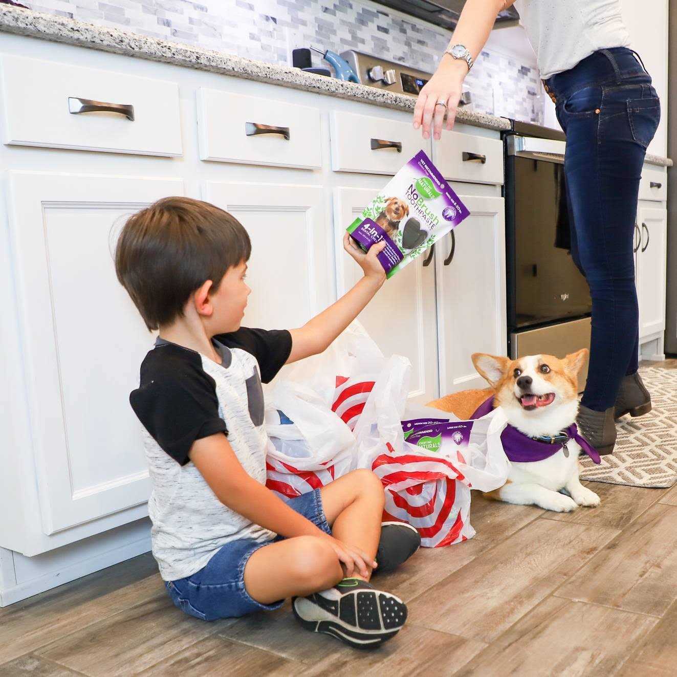 Every Day Naturals No Brush Toothpaste Dental Chew - Pet Supplies online store