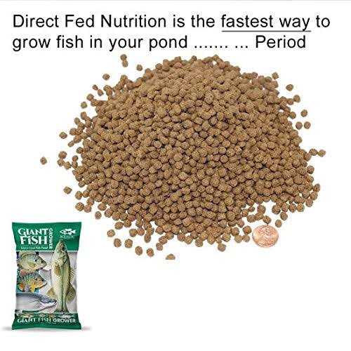Aquatic Nutrition Giant Fish Grower - Pet Supplies online store