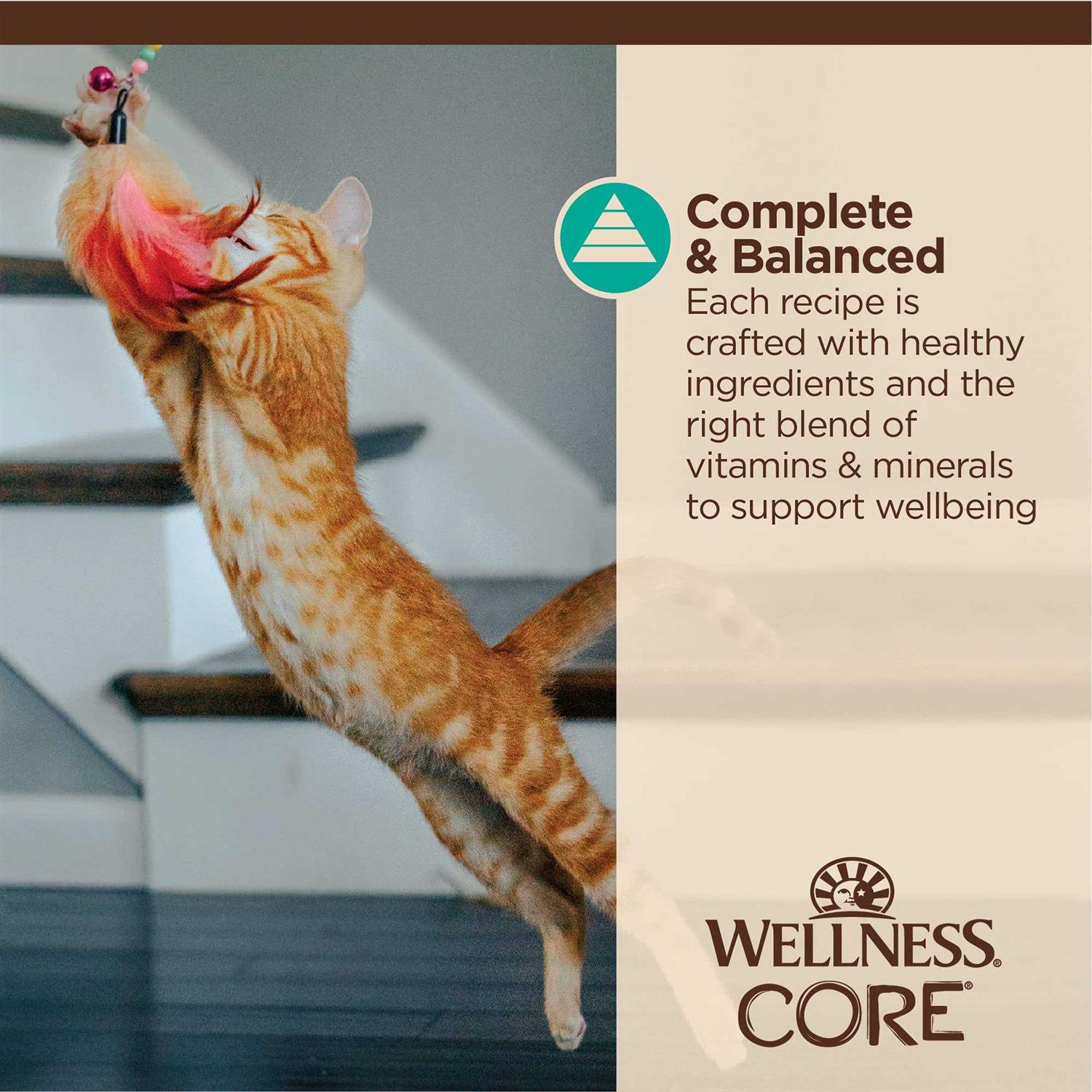 Wellness Core Tiny Tasters Flaked Wet Cat Food - Pet Supplies online store