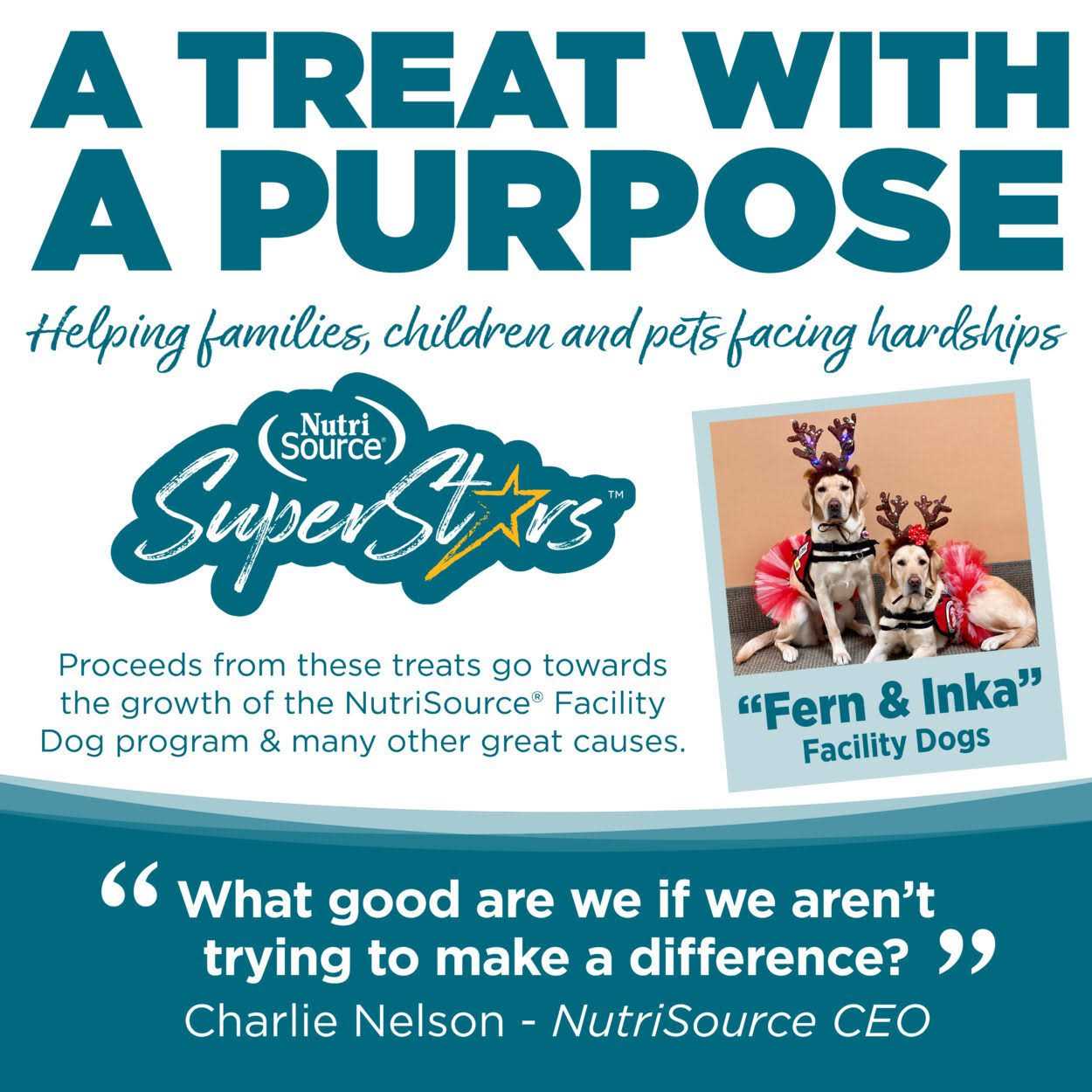 NutriSource Chicken Dog Training Treats - Pet Supplies online store