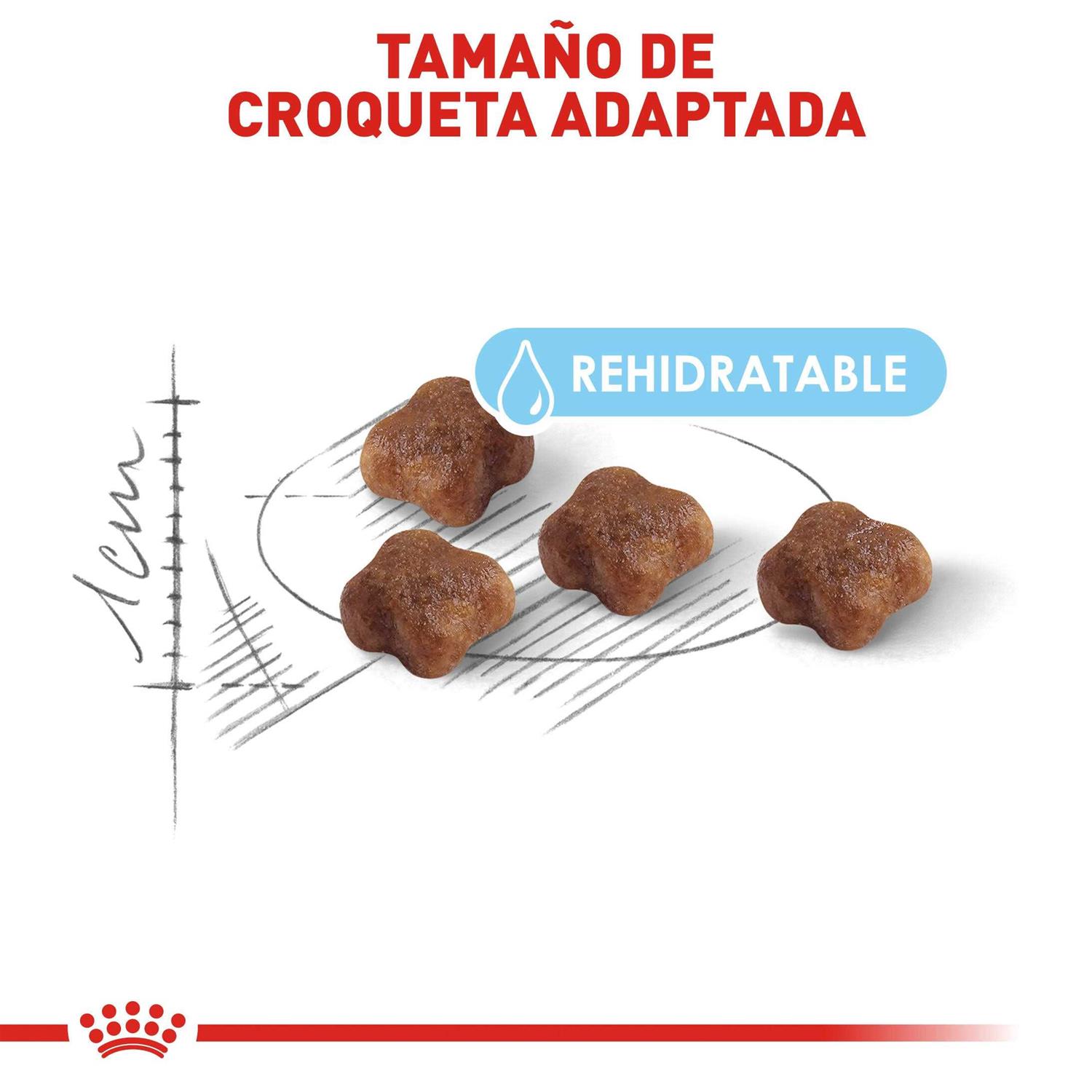 Royal Canin Mother & Baby Dry Cat Food - Pet Supplies online store