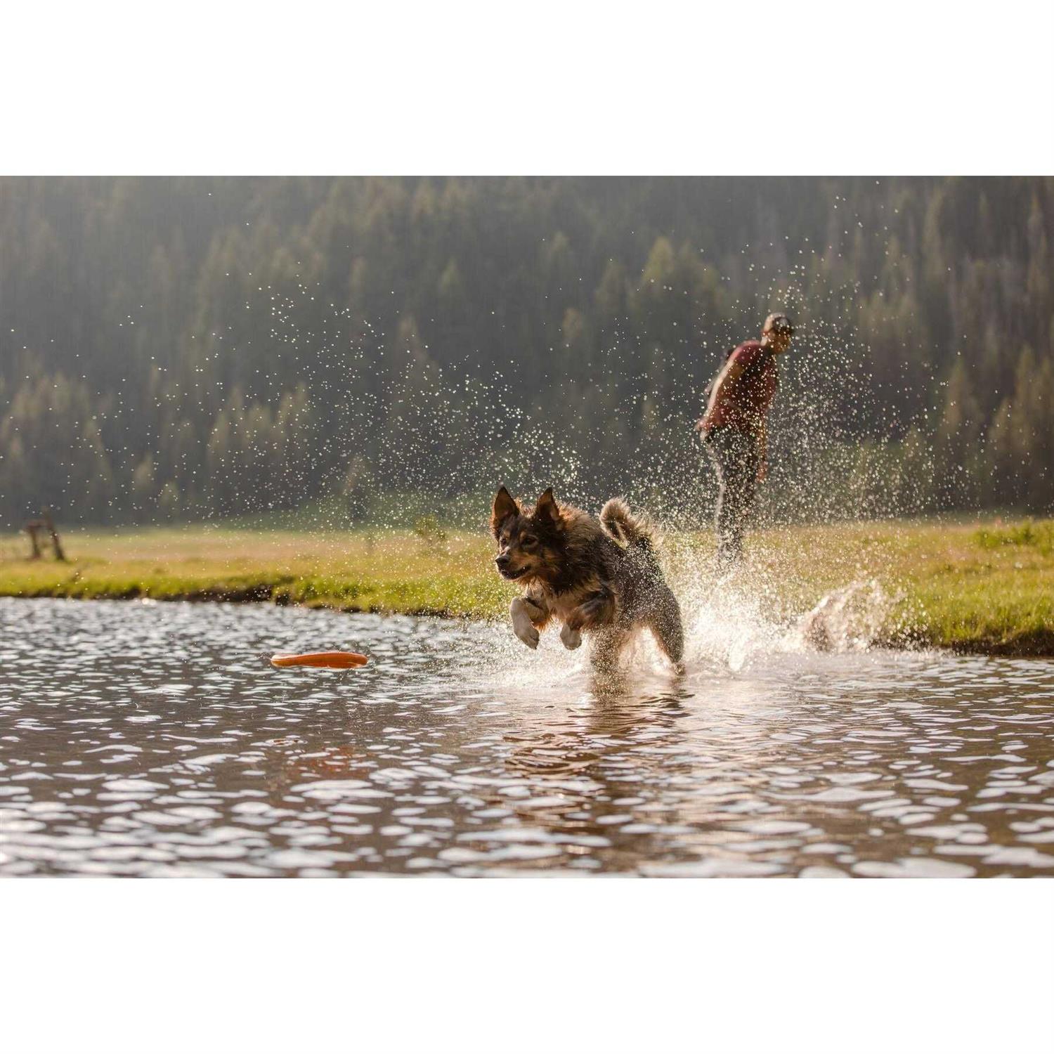 Ruffwear Hydro Plane Toy - Pet Supplies online store