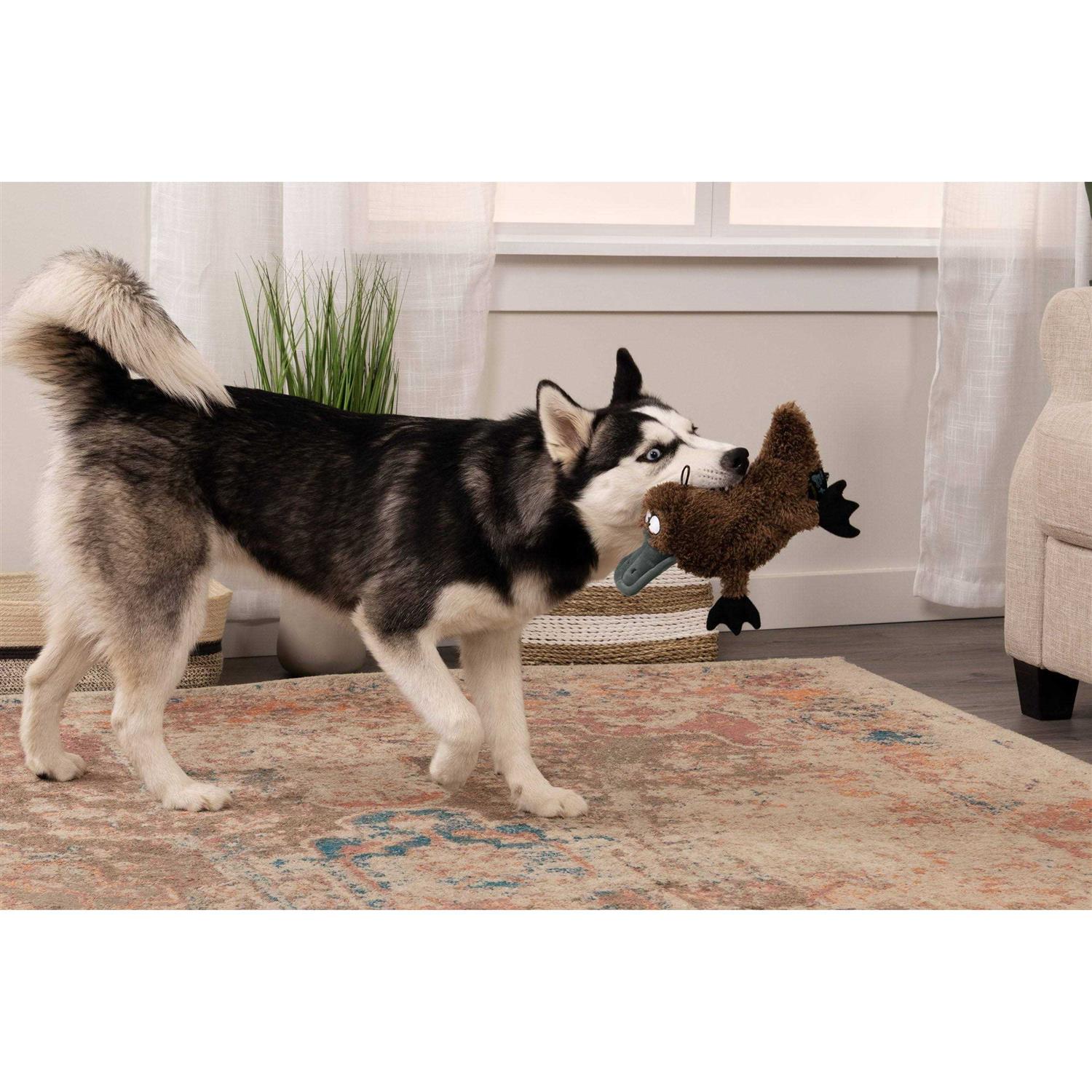 TrustyPup Platypus Dog Toy - Pet Supplies online store