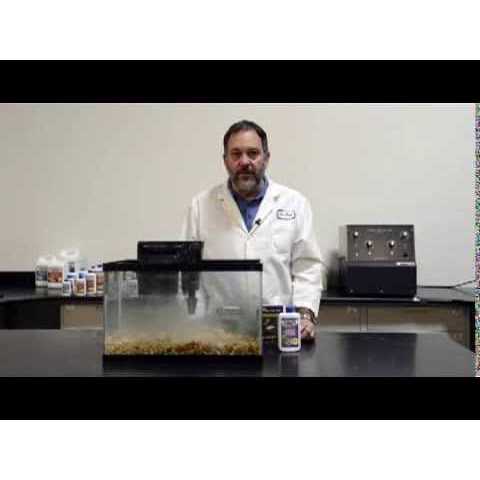 Dr Tim's Aquatics Ammonium Chloride for Fishless Cycling - Pet Supplies online store