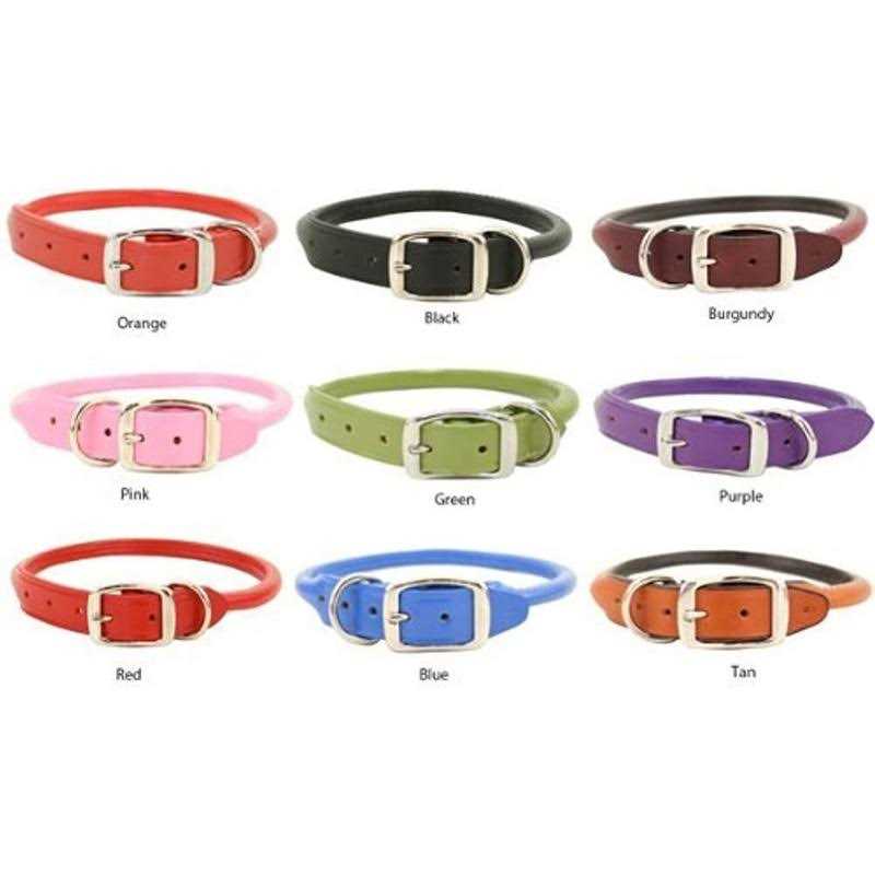 Auburn Leather Rolled Dog Collar - Pet Supplies online store