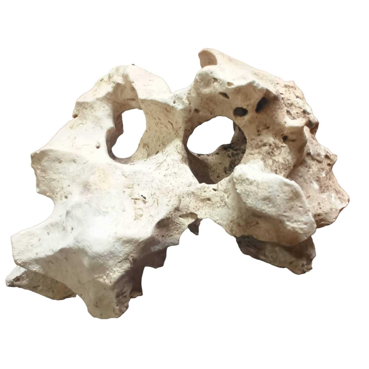 Texas Holey Rock Aquarium Decor for Fish and Aquatic Pets to Swim and Hide - Pet Supplies online store