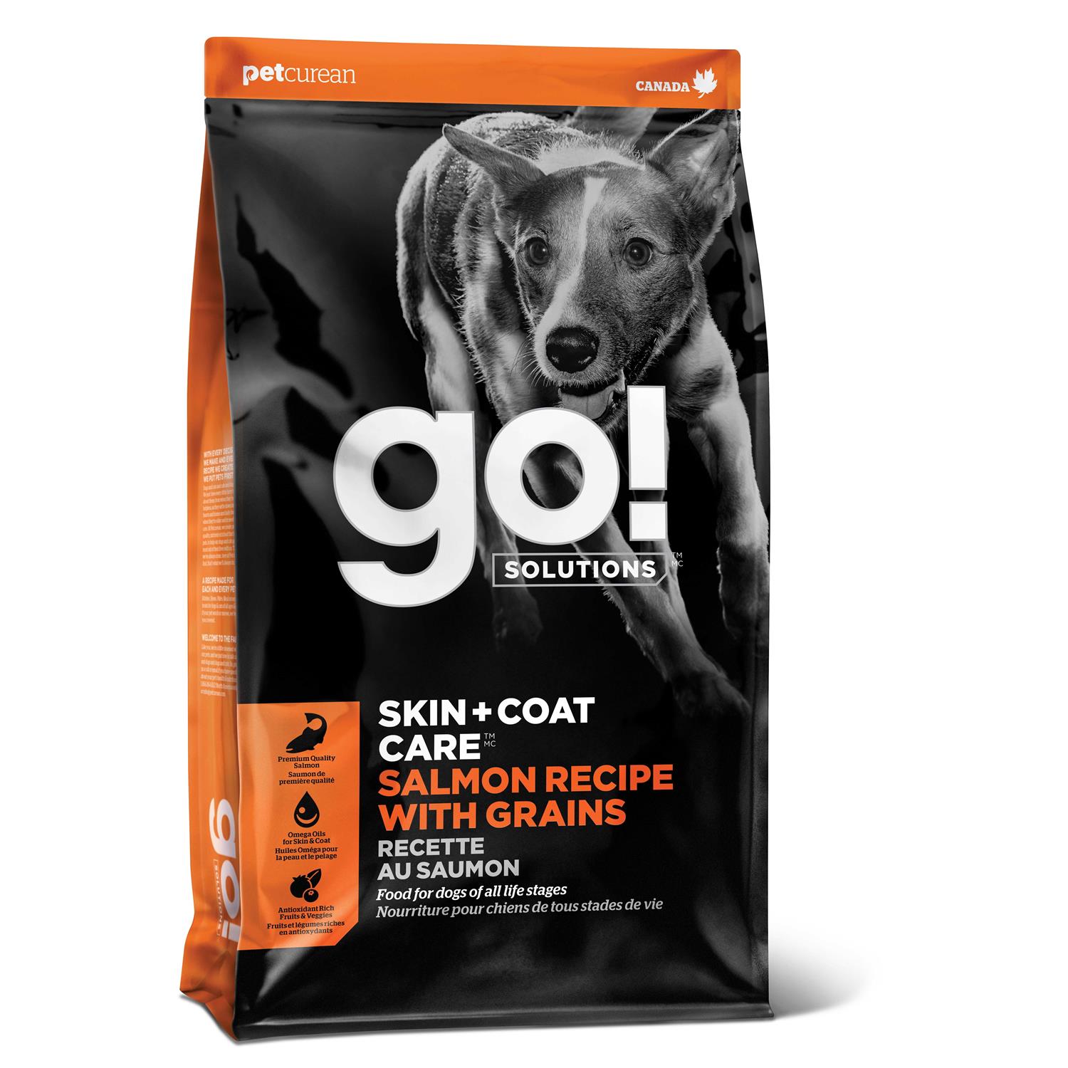 Go! Solutions Skin + Coat Care Salmon Recipe Dry Dog Food - Pet Supplies online store