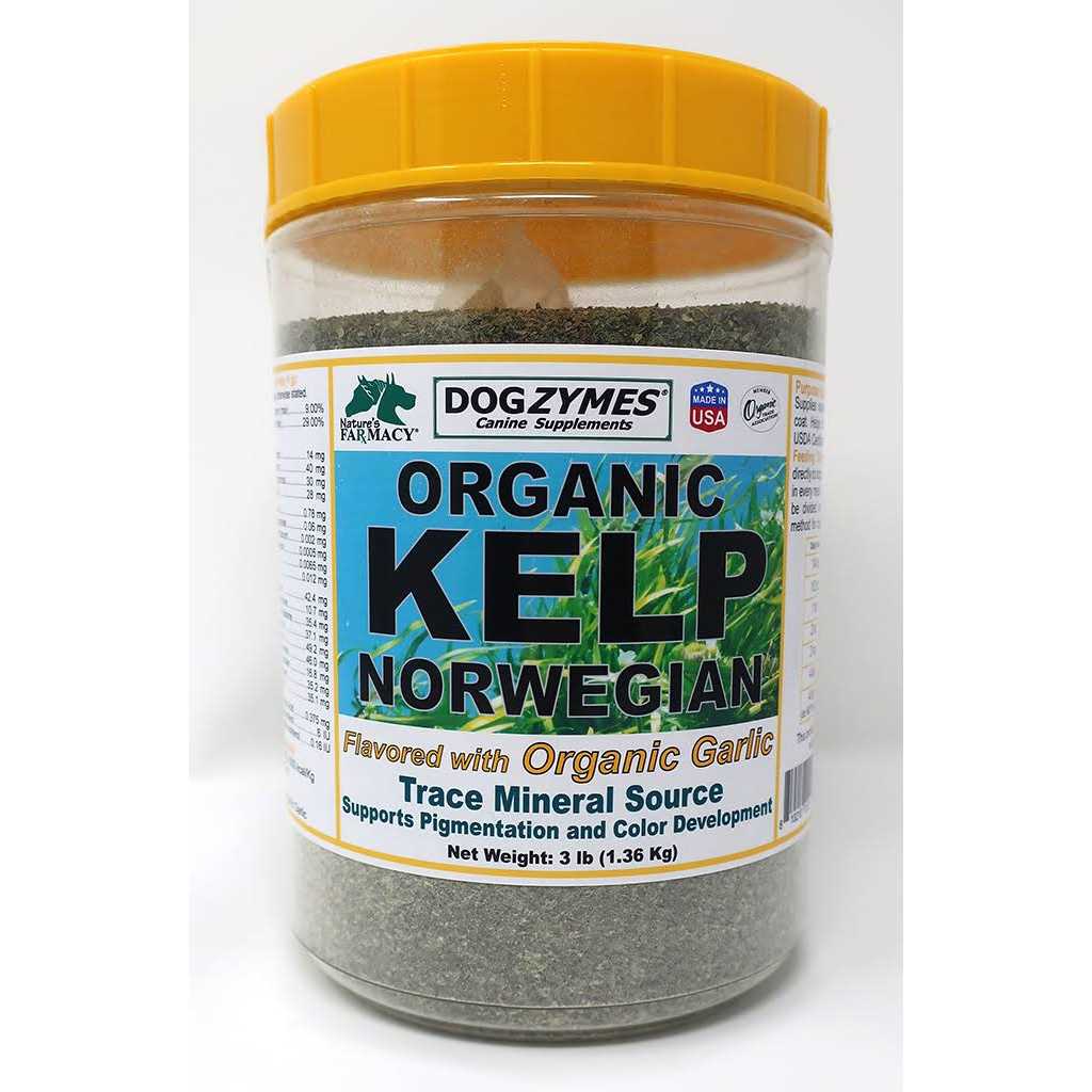 Dogzymes Organic Norwegian Kelp with Organic Garlic - Pet Supplies online store