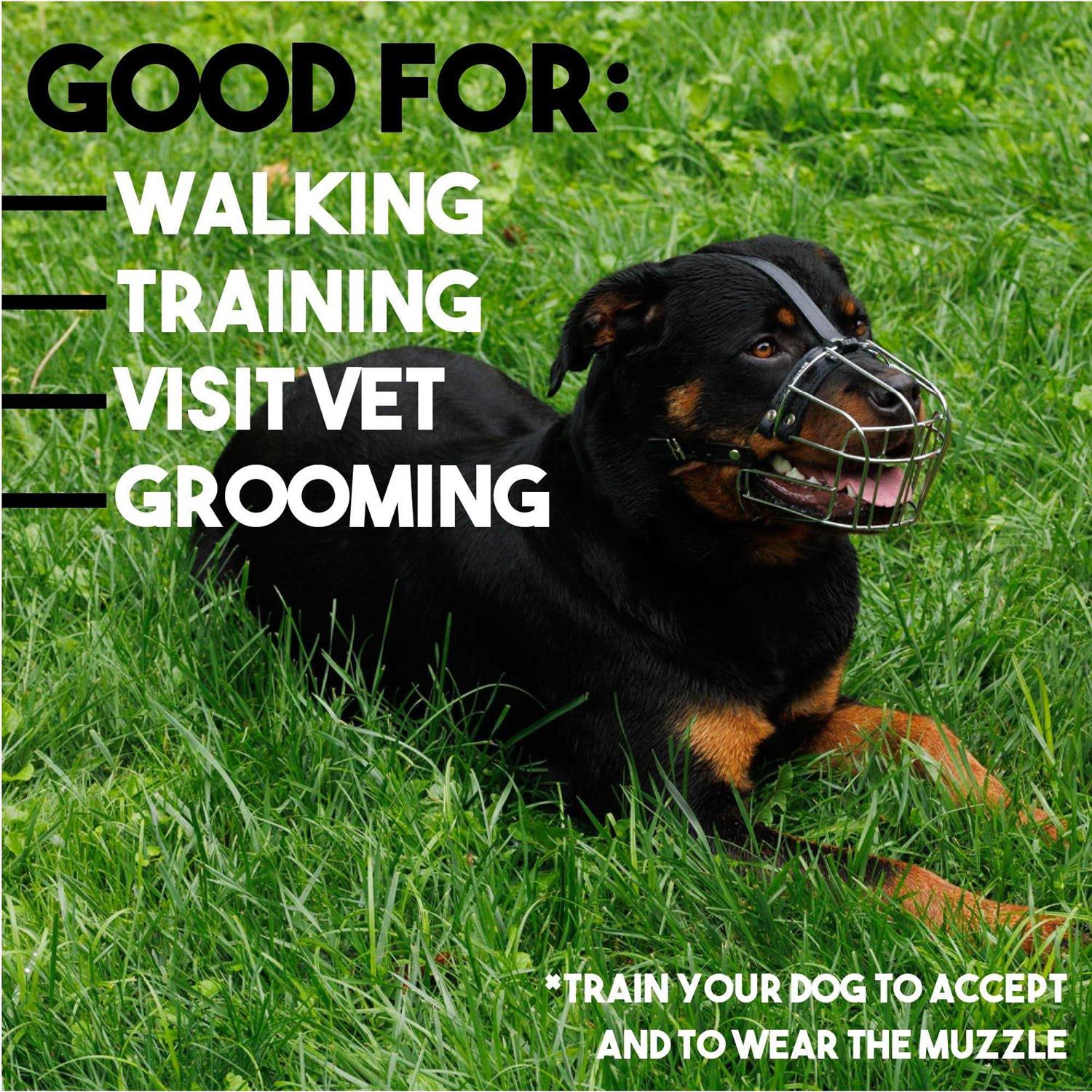 BRONZEDOG Dog Muzzle Wire Basket Rottweiler Adjustable Leather Straps - Pet Supplies online store