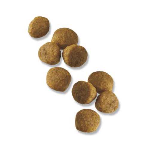 Purina Pro Plan Chicken & Rice Formula Puppy Small Breed Dry Dog Food - Pet Supplies online store