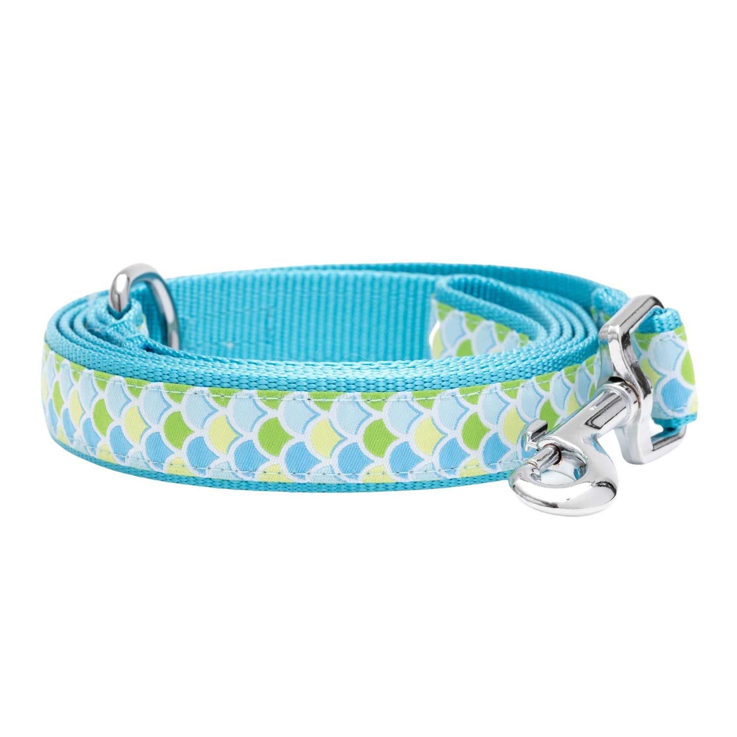 The Worthy Dog Collar - Pet Supplies online store