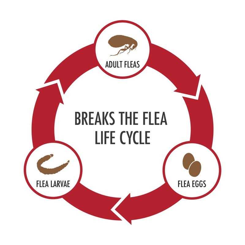 Advecta Topical Treatment for Dogs - Pet Supplies online store